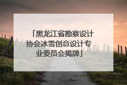 黑龙江省勘察设计协会冰雪创意设计专业委员会揭牌
